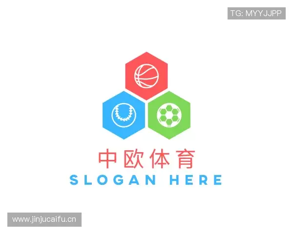 认识zoty中欧